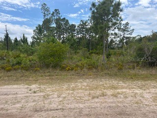 417 (BLK 172 LOT 16) Magnolia Drive Indian Lake Estates FL 33855 TB8503230 image1