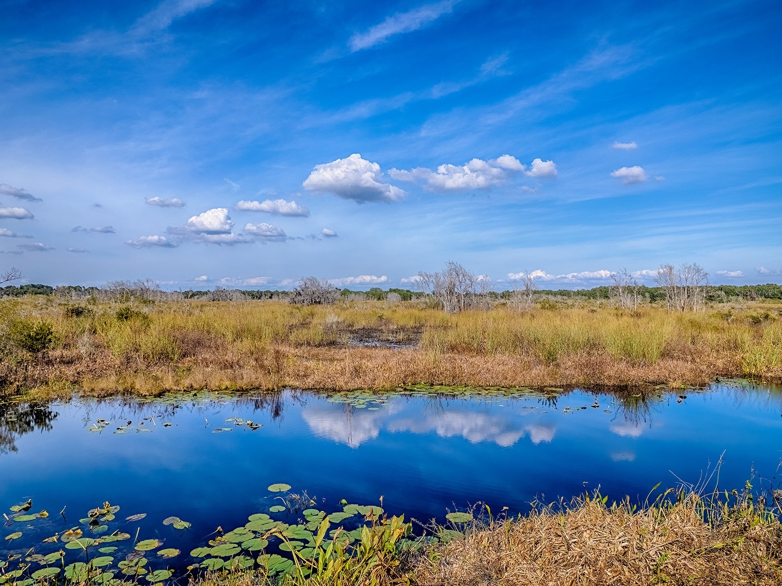 417 Blue Cypress Drive Groveland FL 34736 - CLERMONT CHAIN OF LAKES G5106247 image55