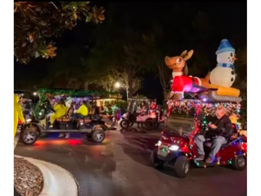 417 Blue Cypress Drive Groveland FL 34736 - CLERMONT CHAIN OF LAKES G5106247 image78