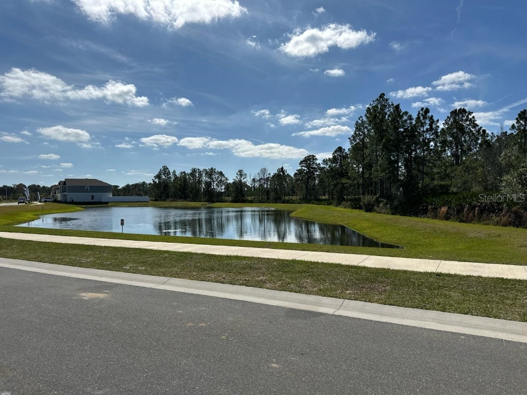 417 Cedar Key Street Davenport FL 33837 O6306023 image29