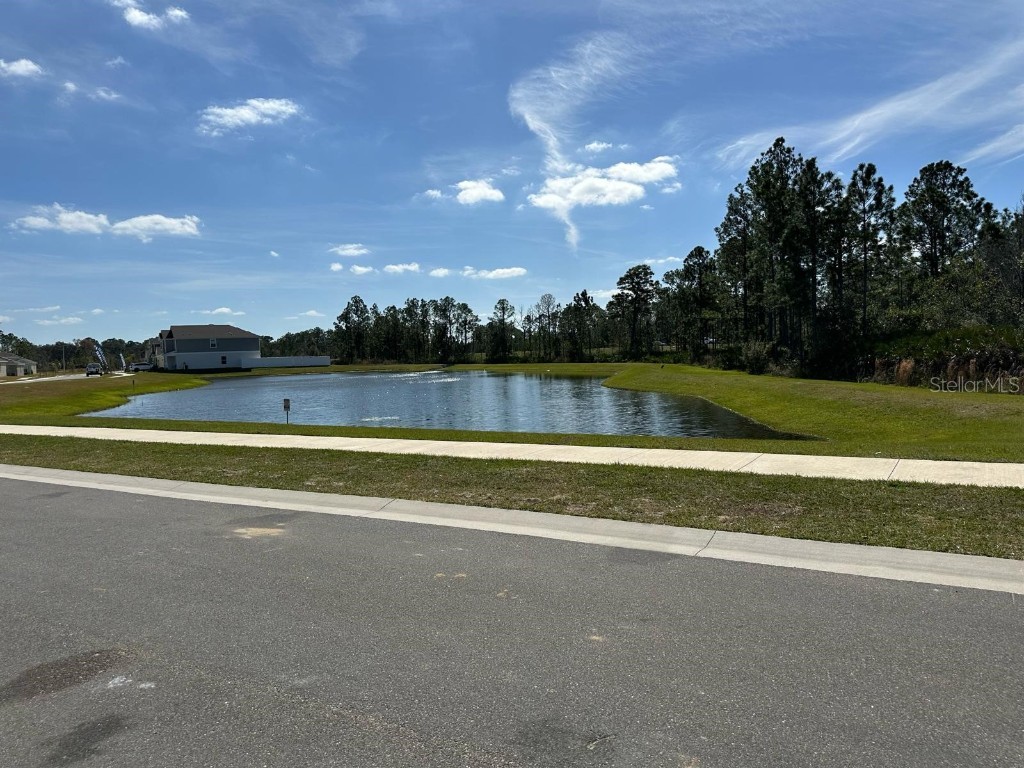 417 Cedar Key Street Davenport FL 33837 O6306023 image32