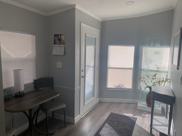 417 Dolphin Drive S Oldsmar FL 34677 TB8403986 image2