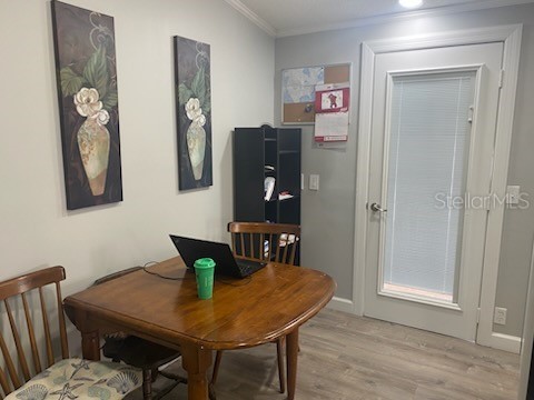 417 Dolphin Drive S Oldsmar FL 34677 TB8403986 image8