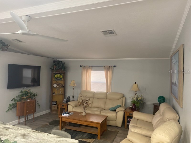 417 Dolphin Drive S Oldsmar FL 34677 TB8403986 image9