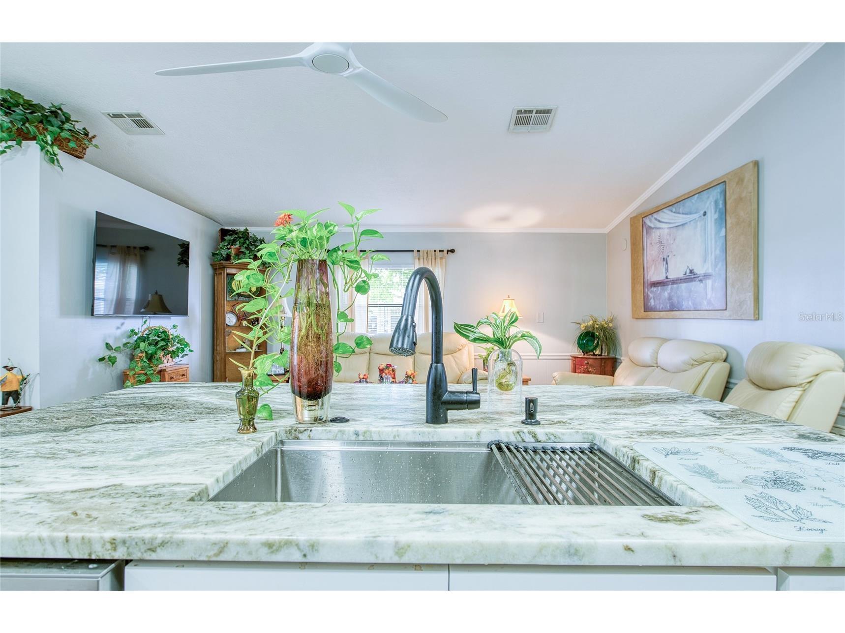 417 Dolphin Drive S Oldsmar FL 34677 TB8504194 image16