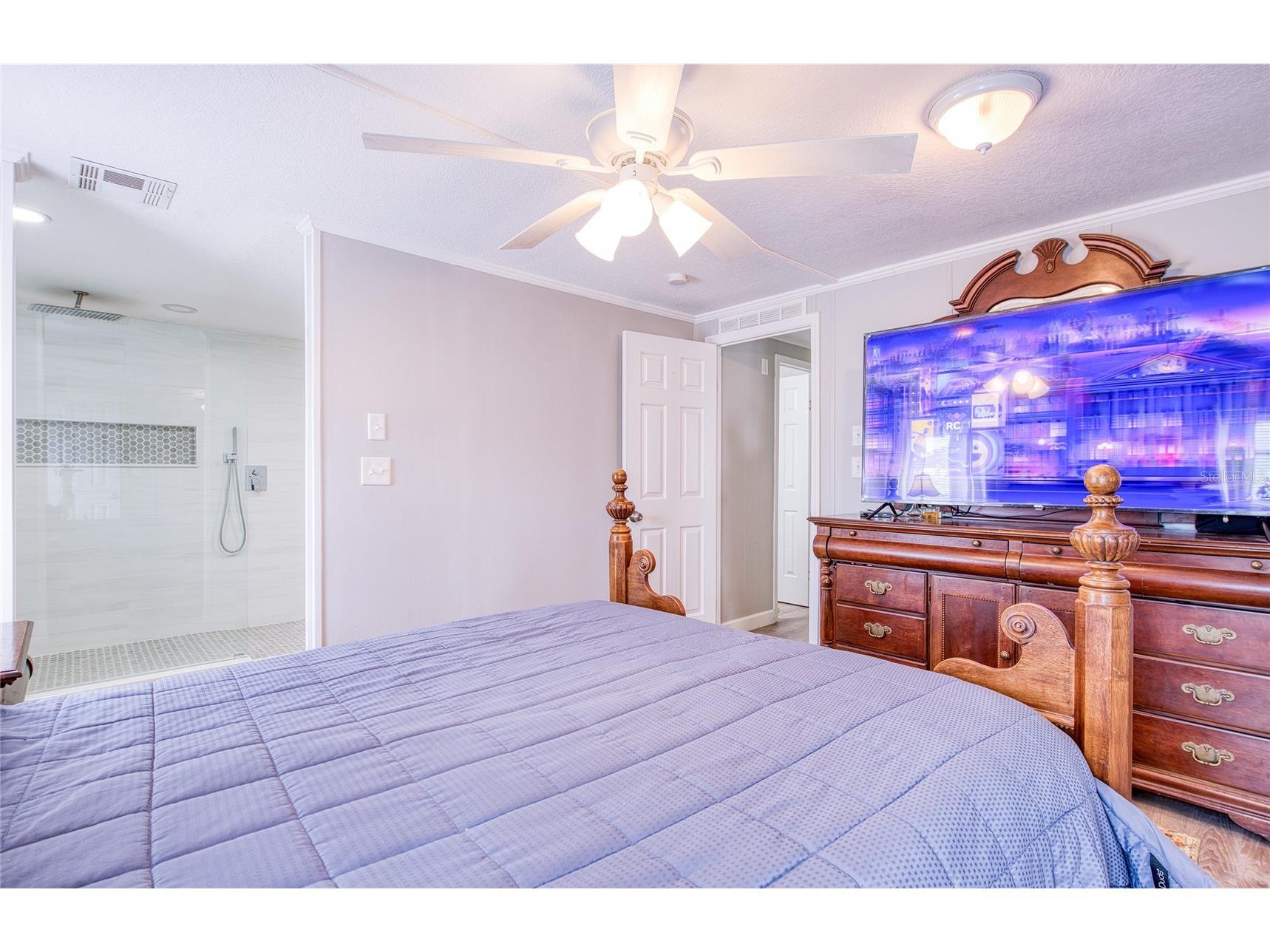 417 Dolphin Drive S Oldsmar FL 34677 TB8504194 image19