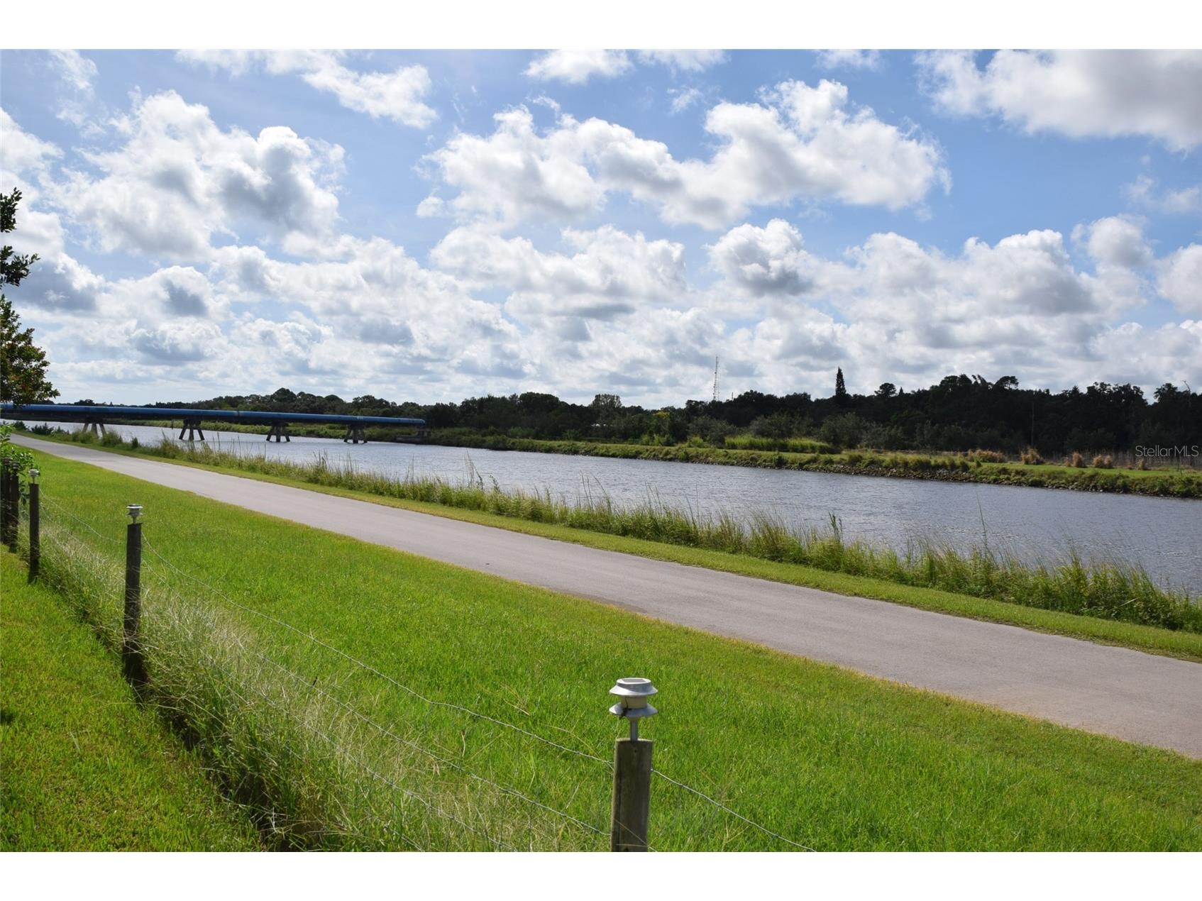 417 Dolphin Drive S Oldsmar FL 34677 TB8504194 image52