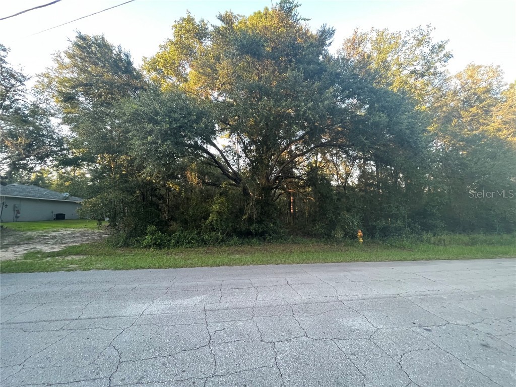 417 E Elgrove Drive Citrus Springs FL 34434 OK223012 image1