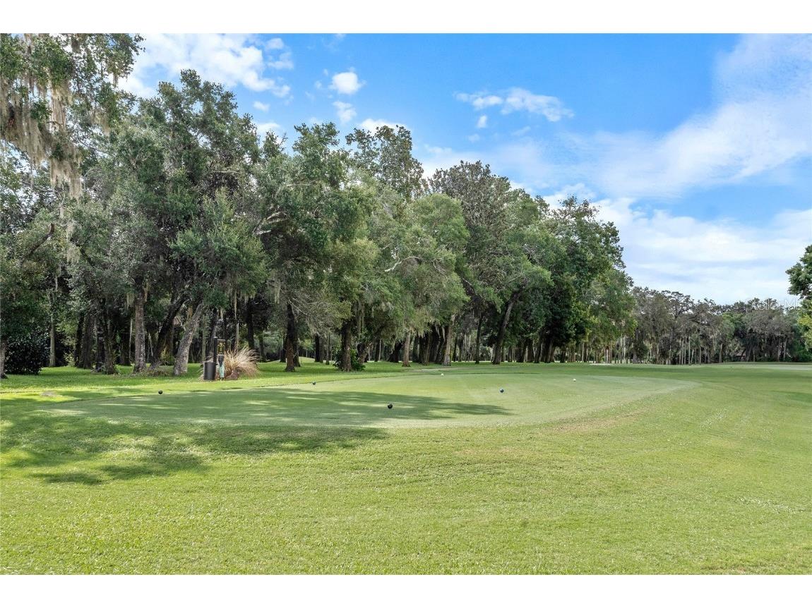 417 Gleneagles Drive New Smyrna Beach FL 32168 NS1085789 image9