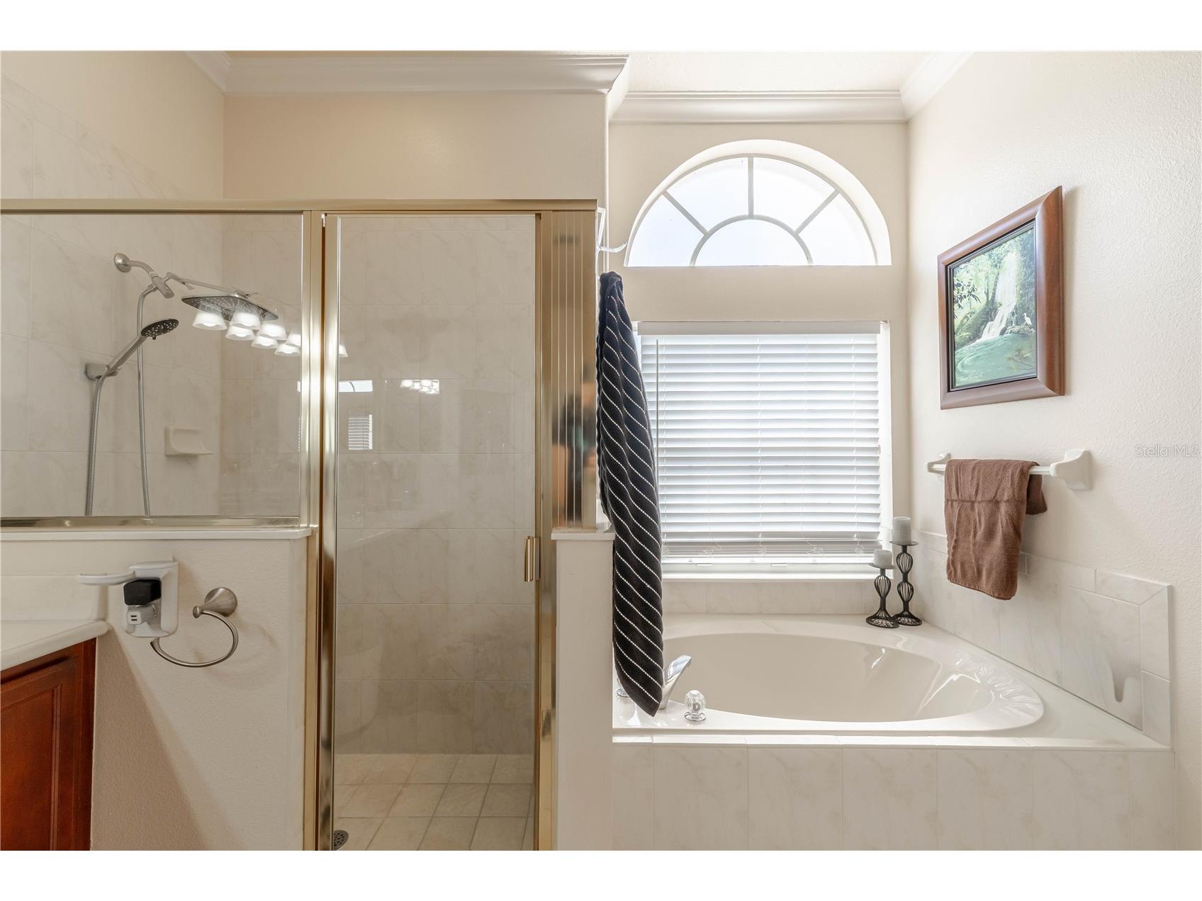 417 Grand Reserve Dr Davenport FL 33837 - LAKE THOMAS O6394143 image13