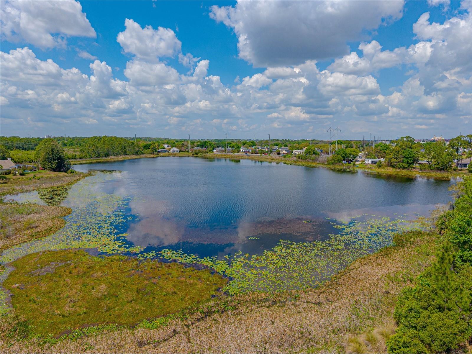 417 Grand Reserve Dr Davenport FL 33837 - LAKE THOMAS O6394143 image48