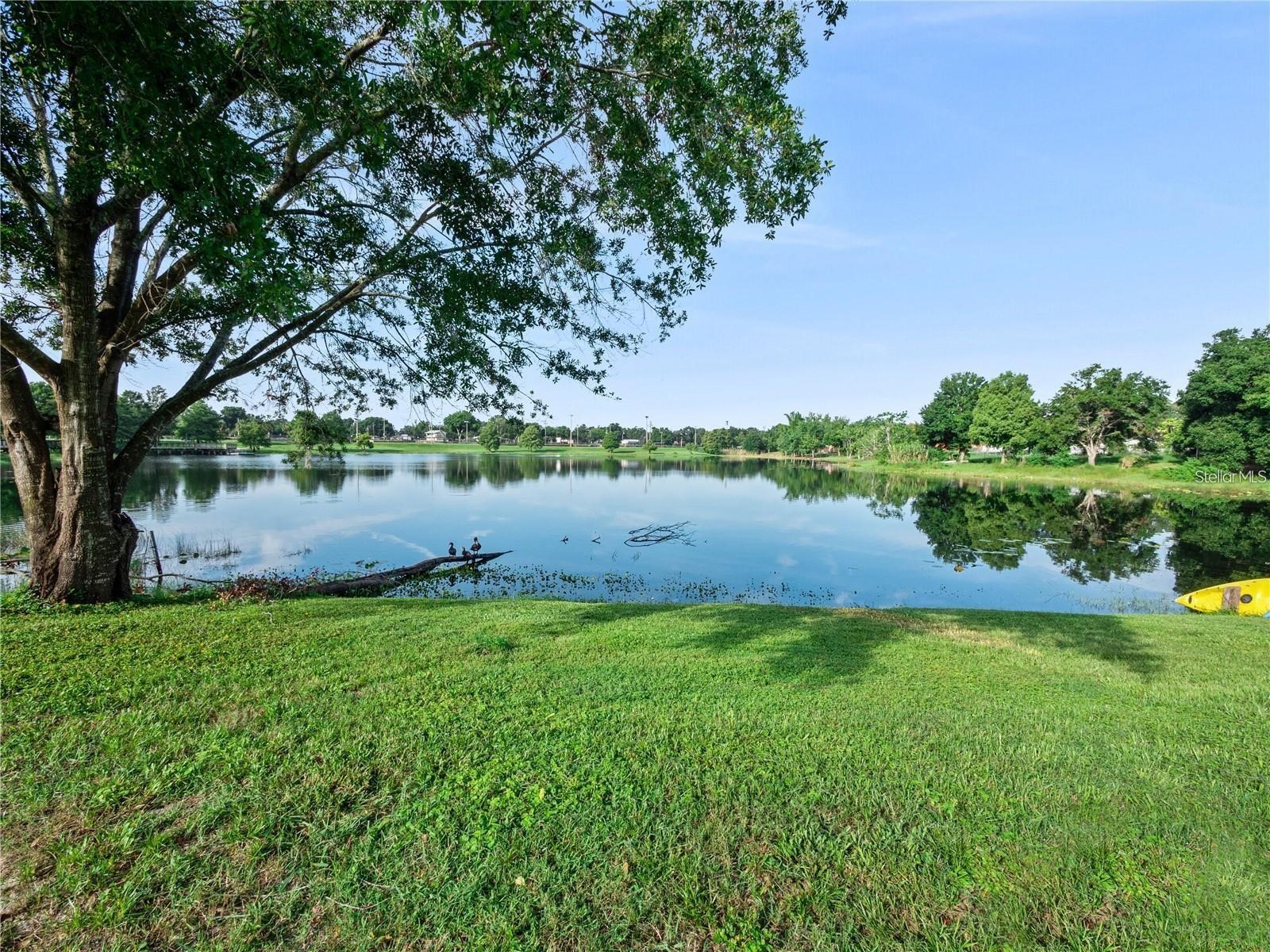 417 Little Spring Hill Dr Ocoee FL 34761 O6402179 image13