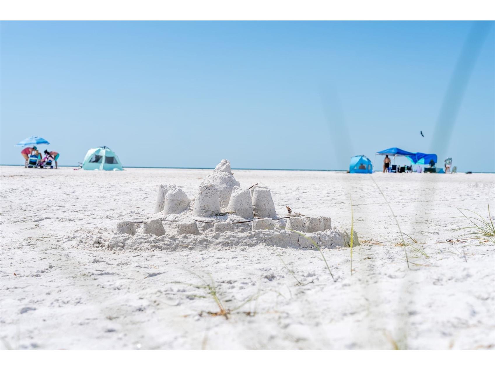 417 Poinsettia Road Anna Maria FL 34216 TB8505415 image4