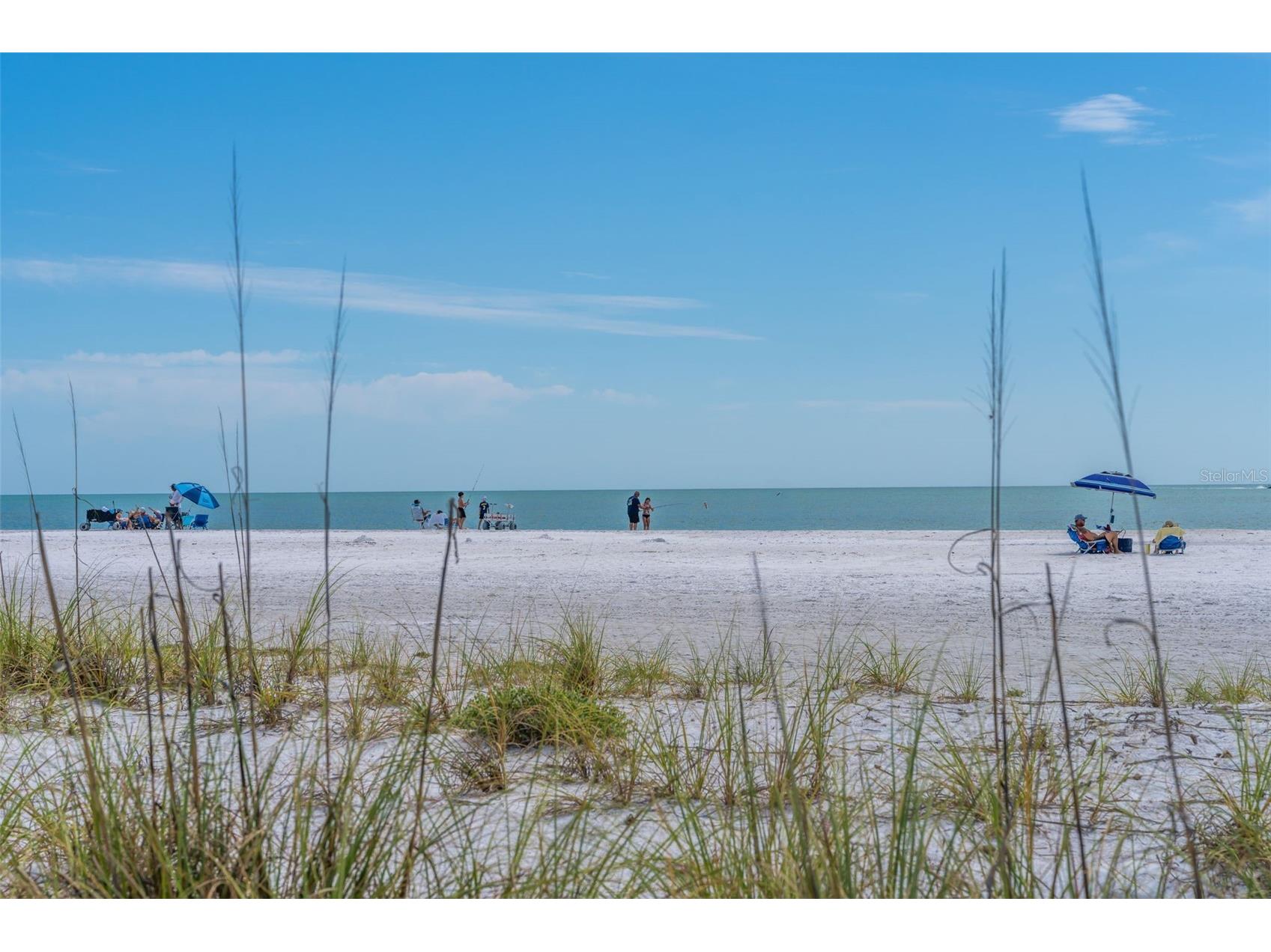 417 Poinsettia Road Anna Maria FL 34216 TB8505415 image48