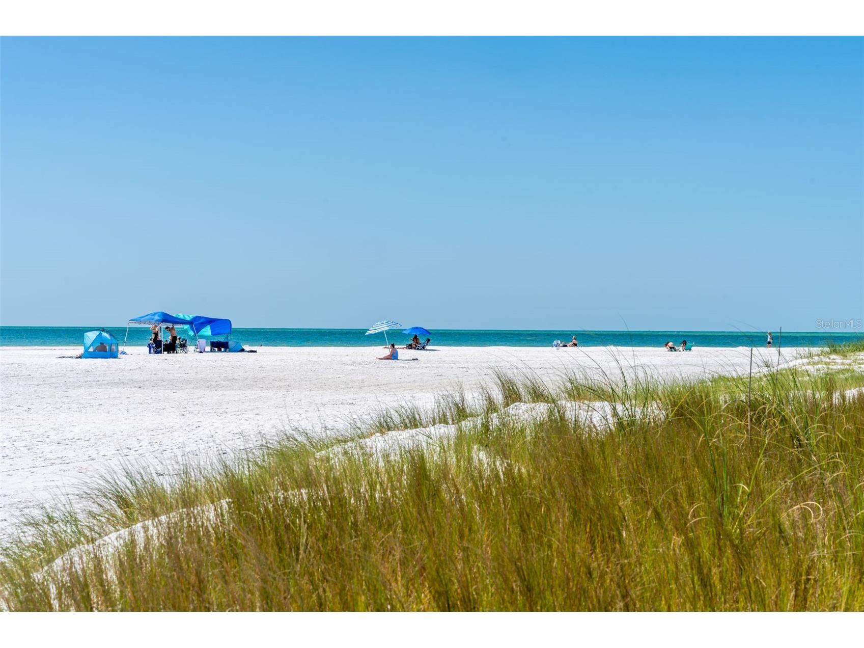 417 Poinsettia Road Anna Maria FL 34216 TB8505415 image49