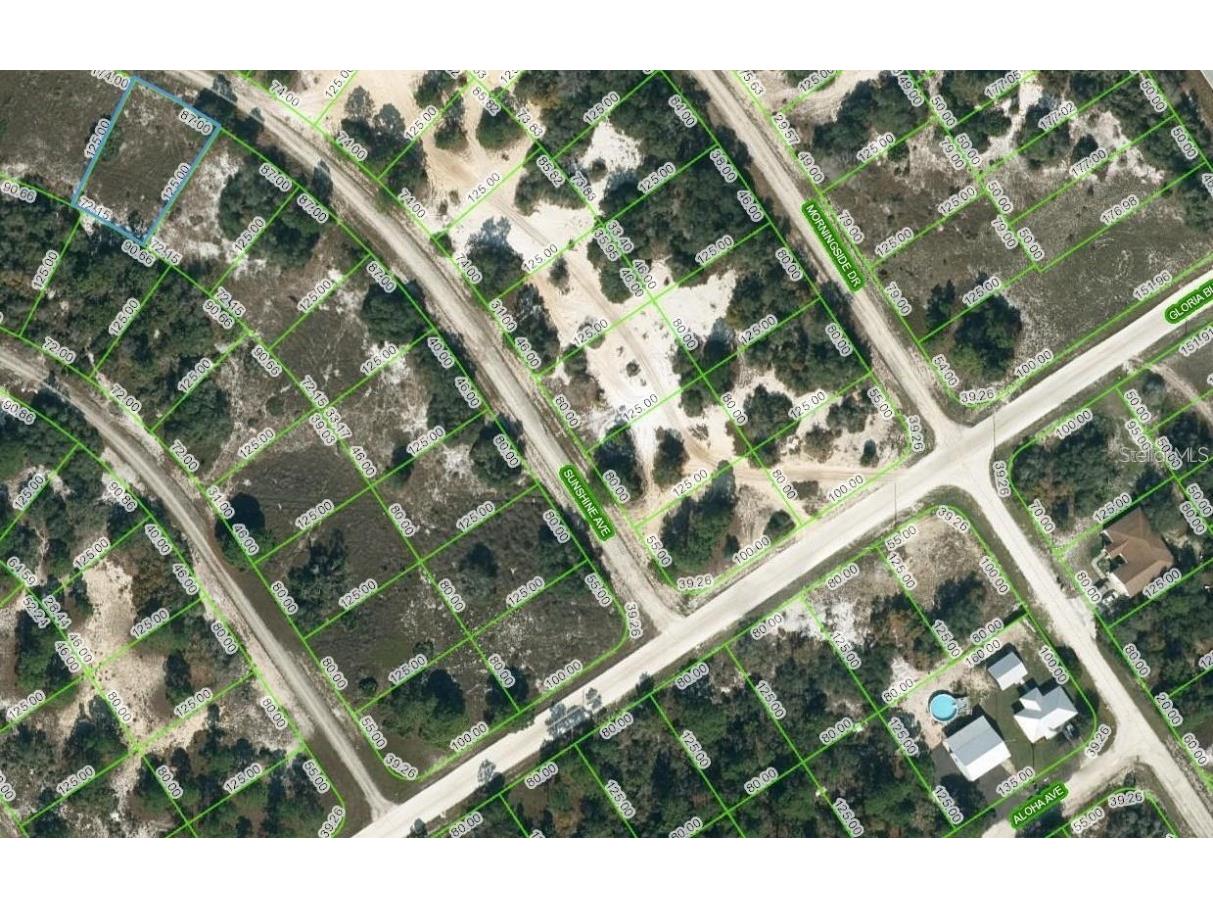 417 Sunshine Avenue Lake Placid FL 33852 OM705263 image1