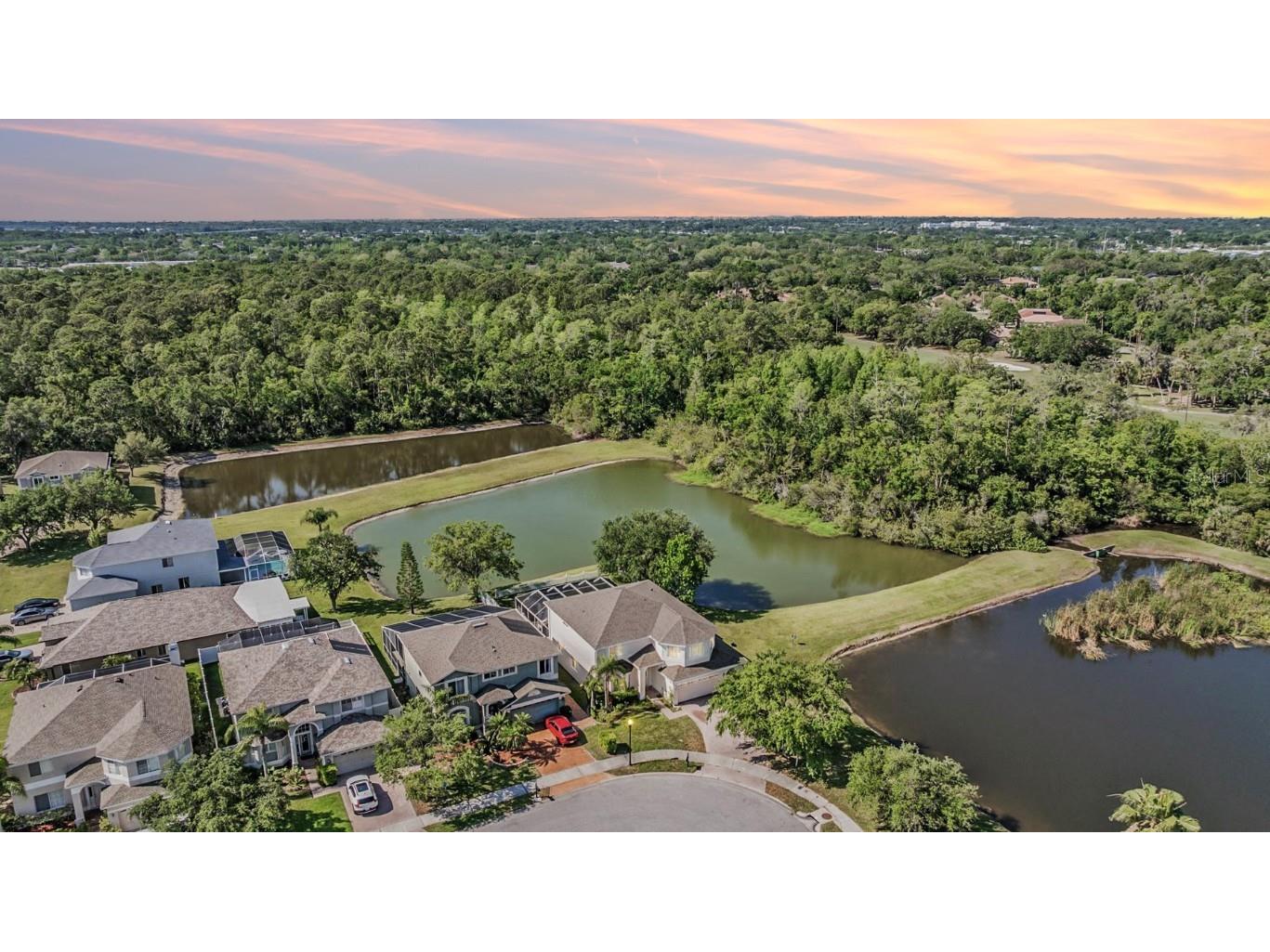 417 Ventura Drive Oldsmar FL 34677 TB8375213 image1