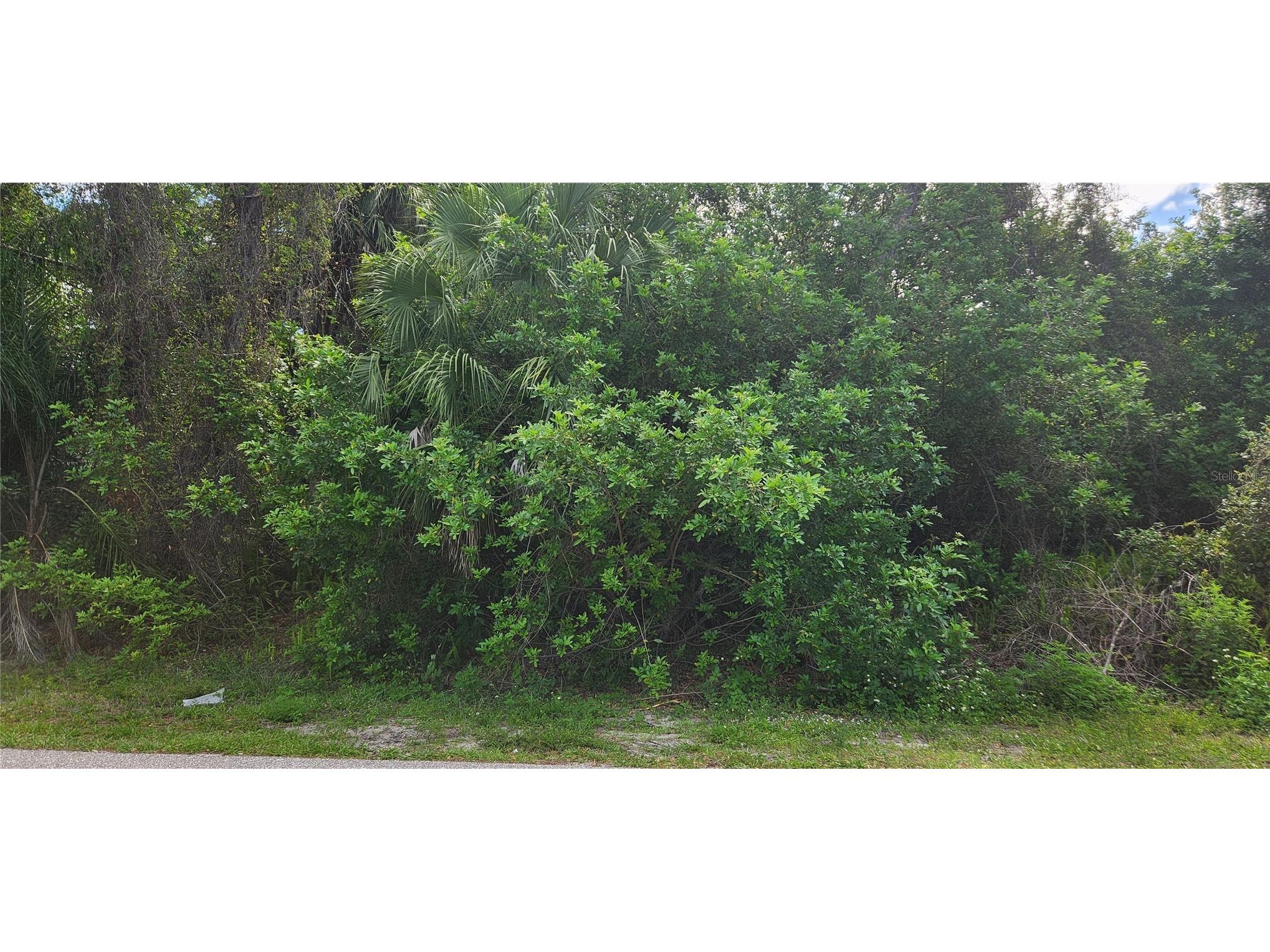 417 Verona Street Port Charlotte FL 33948 C7524169 image2