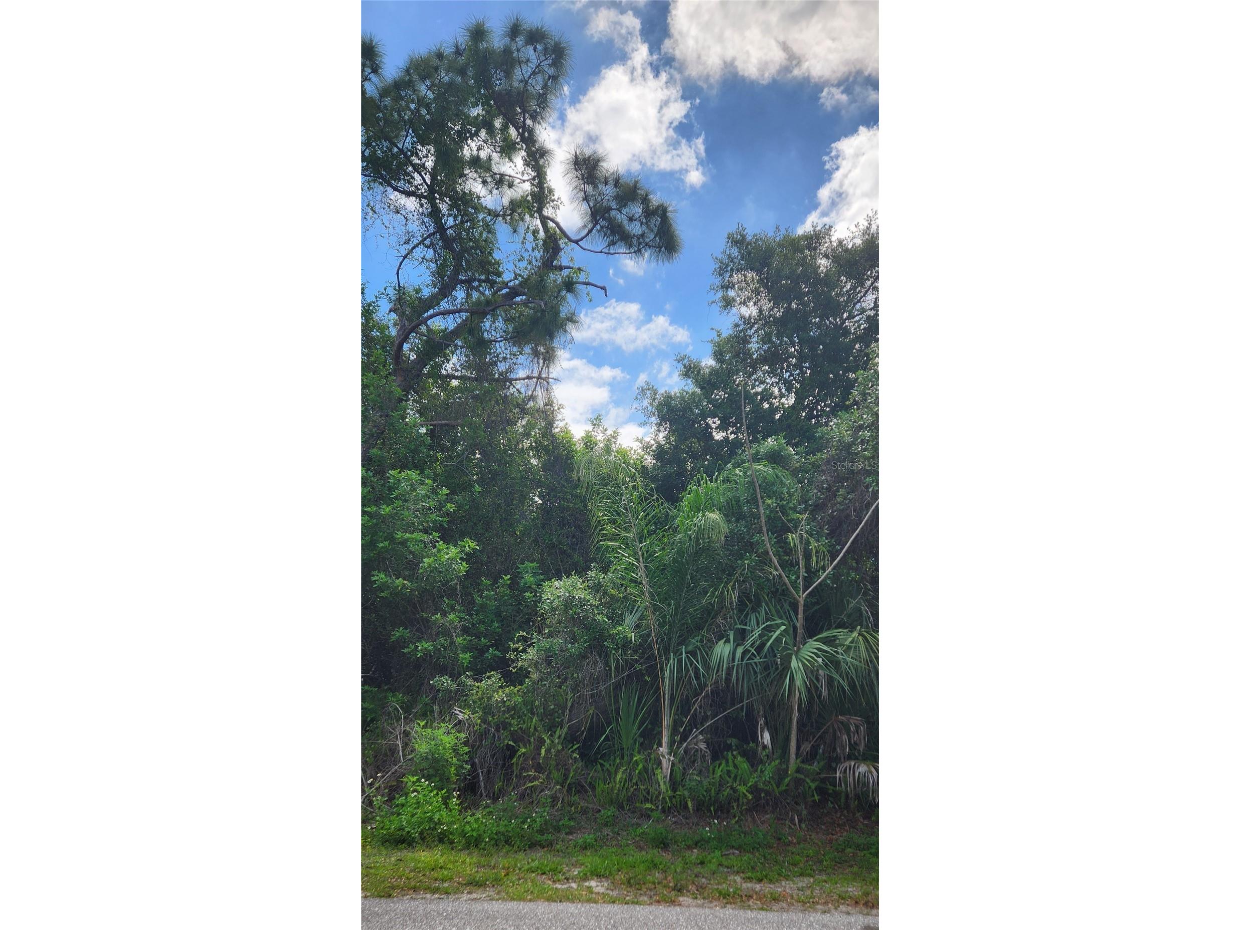 417 Verona Street Port Charlotte FL 33948 C7524169 image3