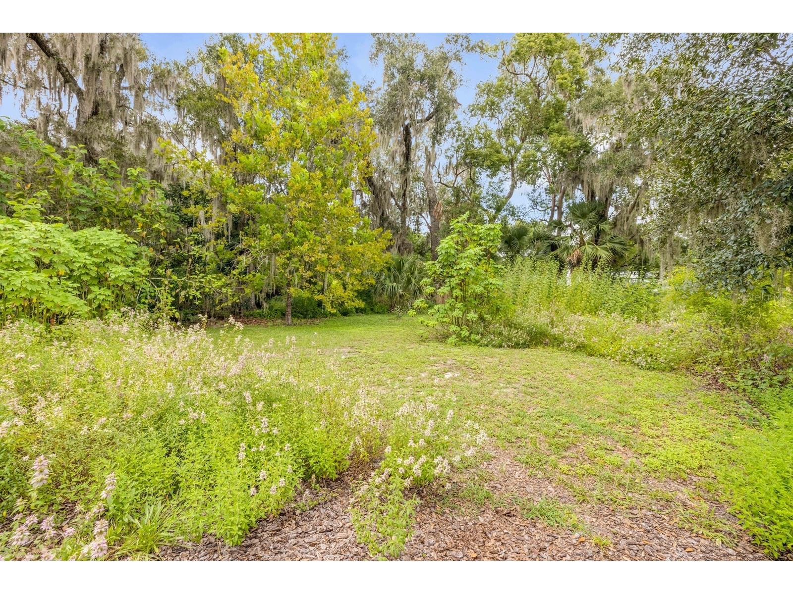 417 W Minnesota Avenue Deland FL 32720 O6407796 image61