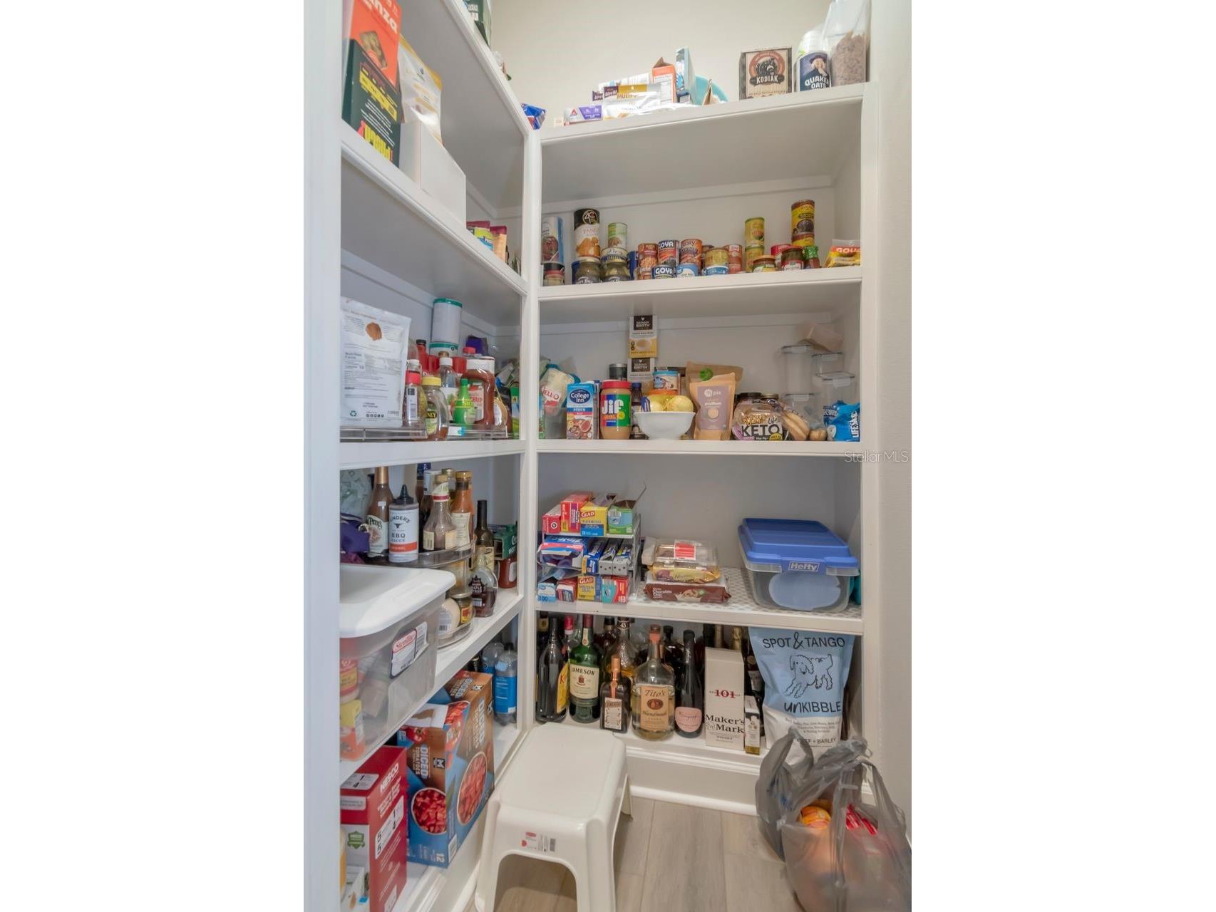 4170 Barletta Court Wesley Chapel FL 33543 TB8494520 image13