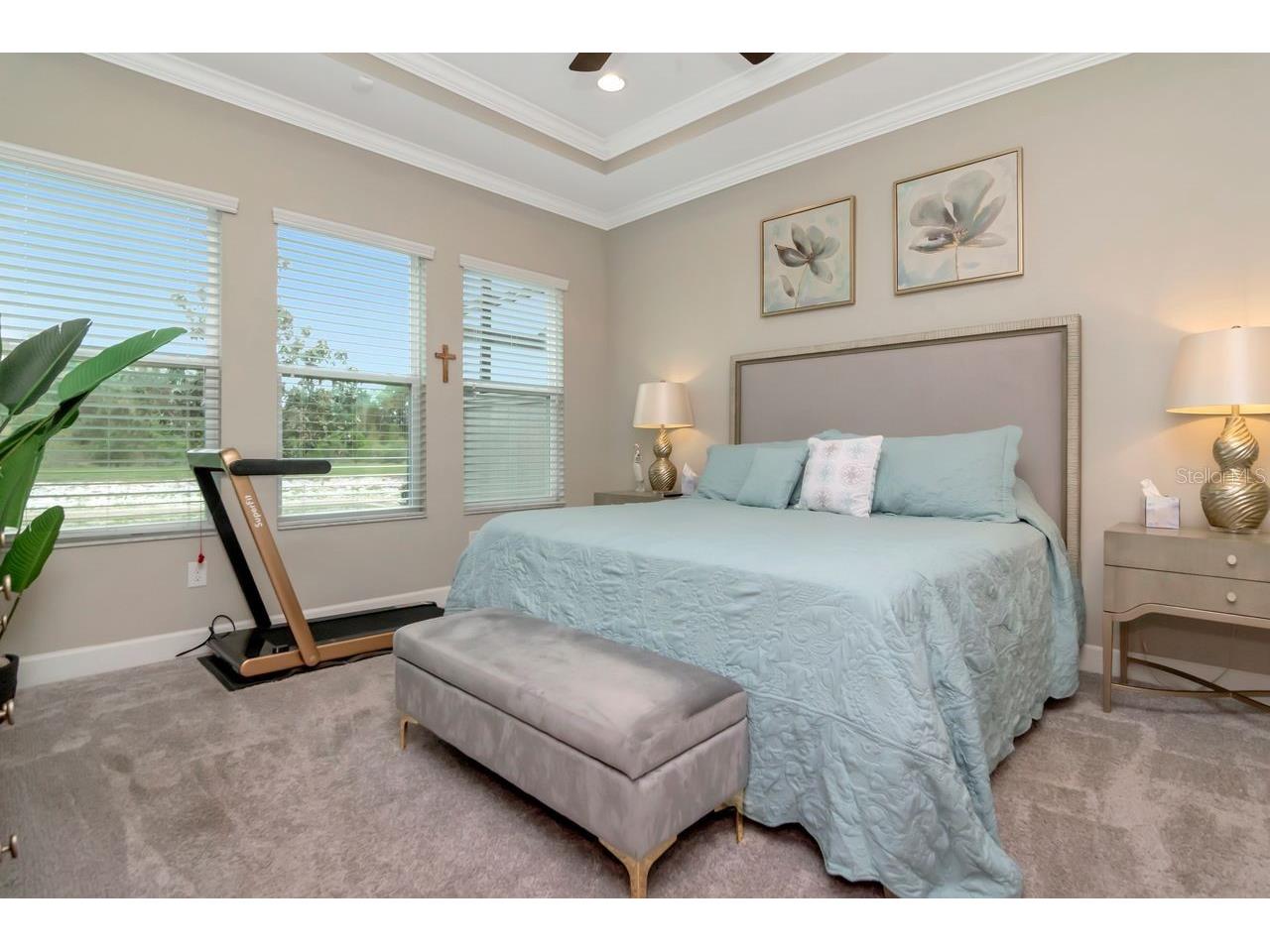 4170 Barletta Court Wesley Chapel FL 33543 TB8494520 image22