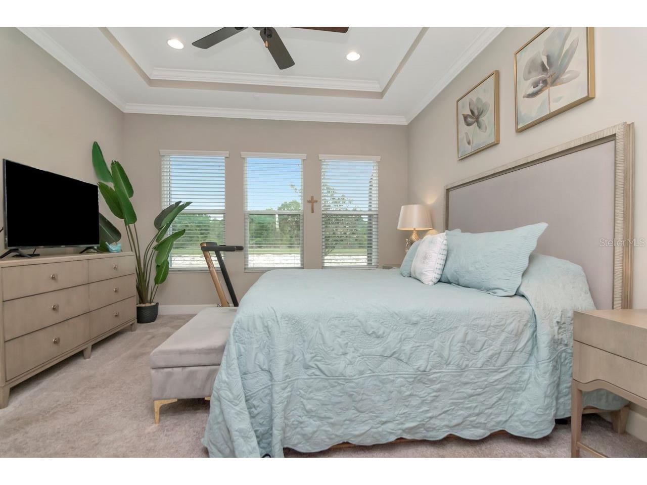 4170 Barletta Court Wesley Chapel FL 33543 TB8494520 image23