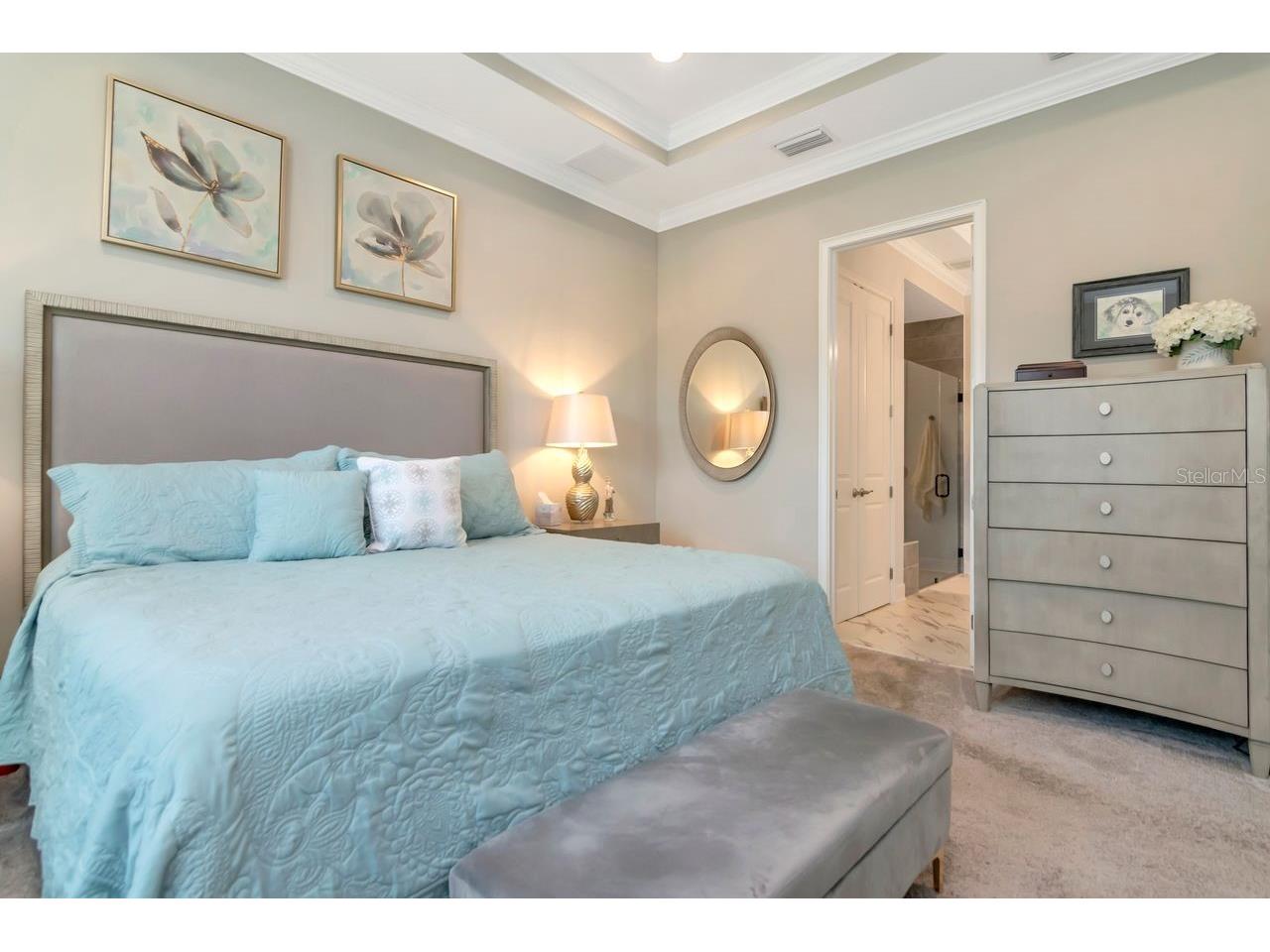 4170 Barletta Court Wesley Chapel FL 33543 TB8494520 image24