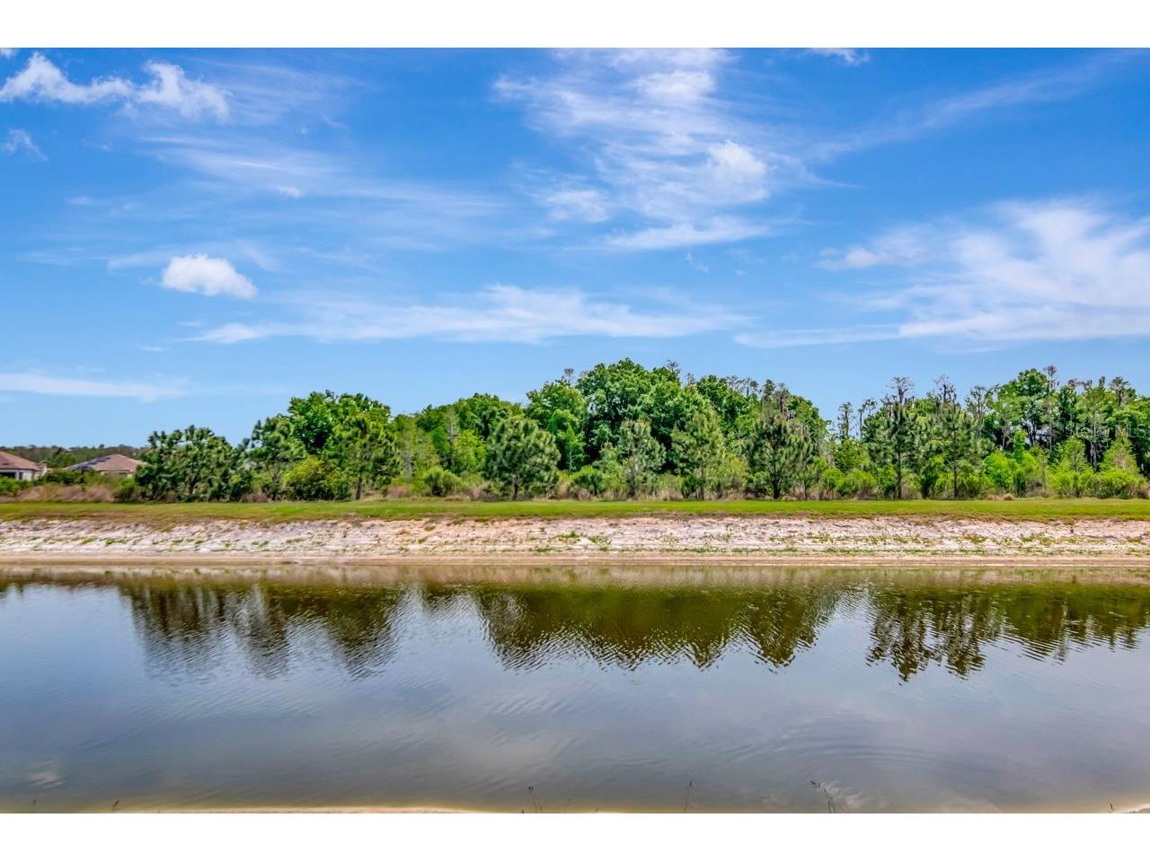 4170 Barletta Court Wesley Chapel FL 33543 TB8494520 image30