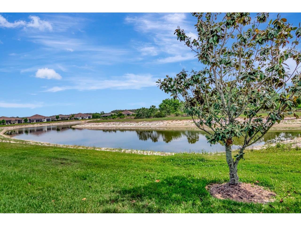4170 Barletta Court Wesley Chapel FL 33543 TB8494520 image31