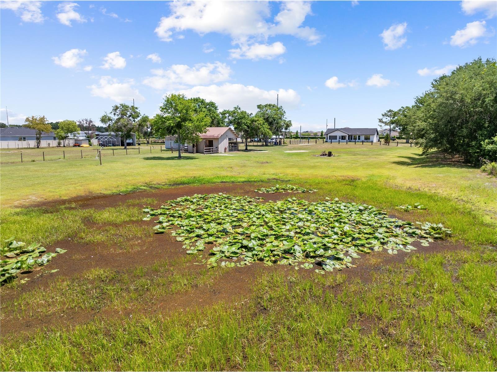 4170 Hickory Tree Road Saint Cloud FL 34772 S5149113 image61