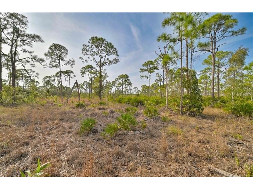 4170 Old Burnt Store Rd Cape Coral FL 33993 C7526132 image13