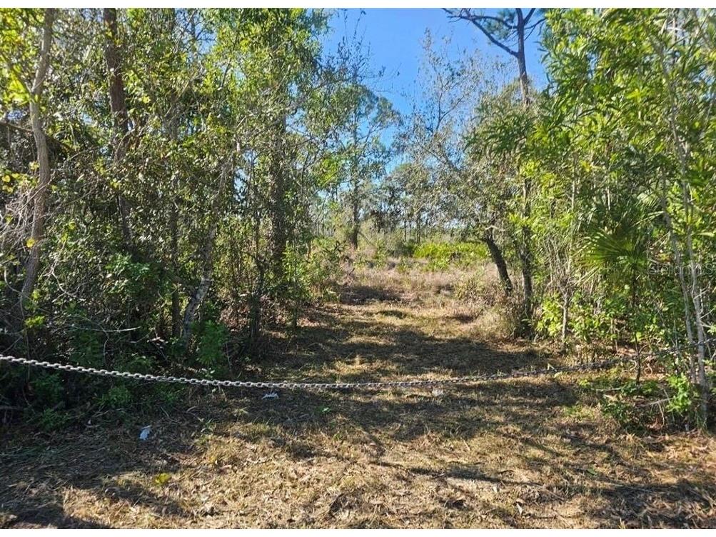 4170 Old Burnt Store Rd Cape Coral FL 33993 C7526132 image14