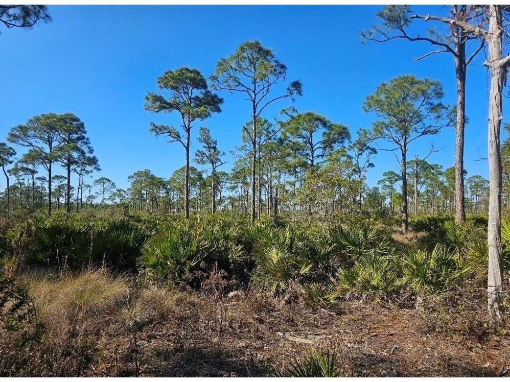 4170 Old Burnt Store Rd Cape Coral FL 33993 C7526132 image15