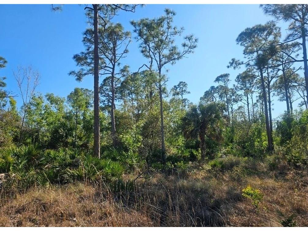 4170 Old Burnt Store Rd Cape Coral FL 33993 C7526132 image16