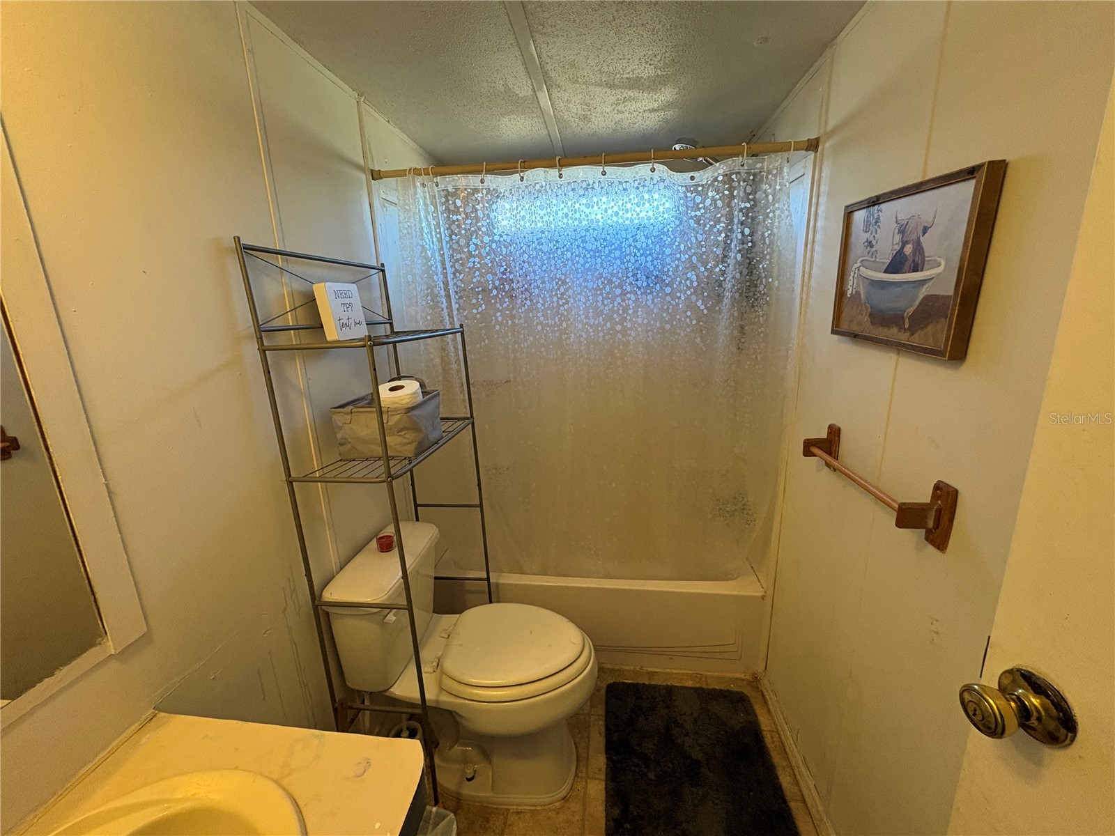 41700 Shadow Deland FL 32720 O6380331 image19