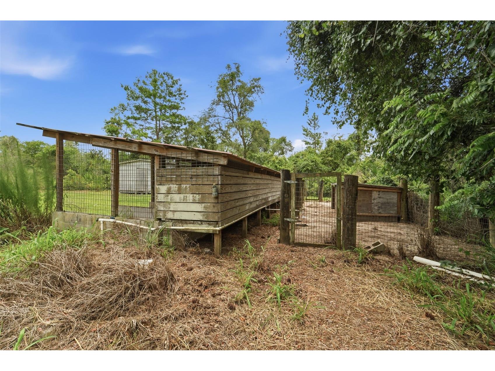 41707 Aspen St Eustis FL 32736 V4949514 image33