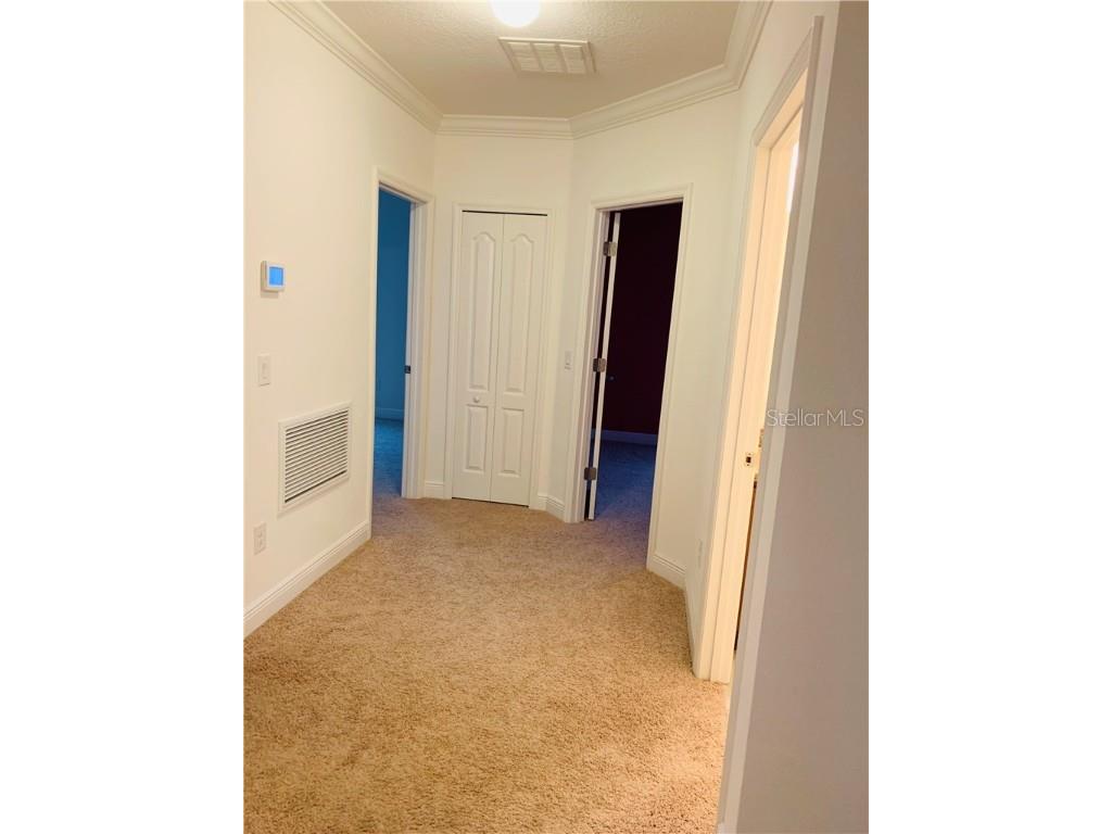 4171 Augustine Road Spring Hill FL 34609 T3203537 image11