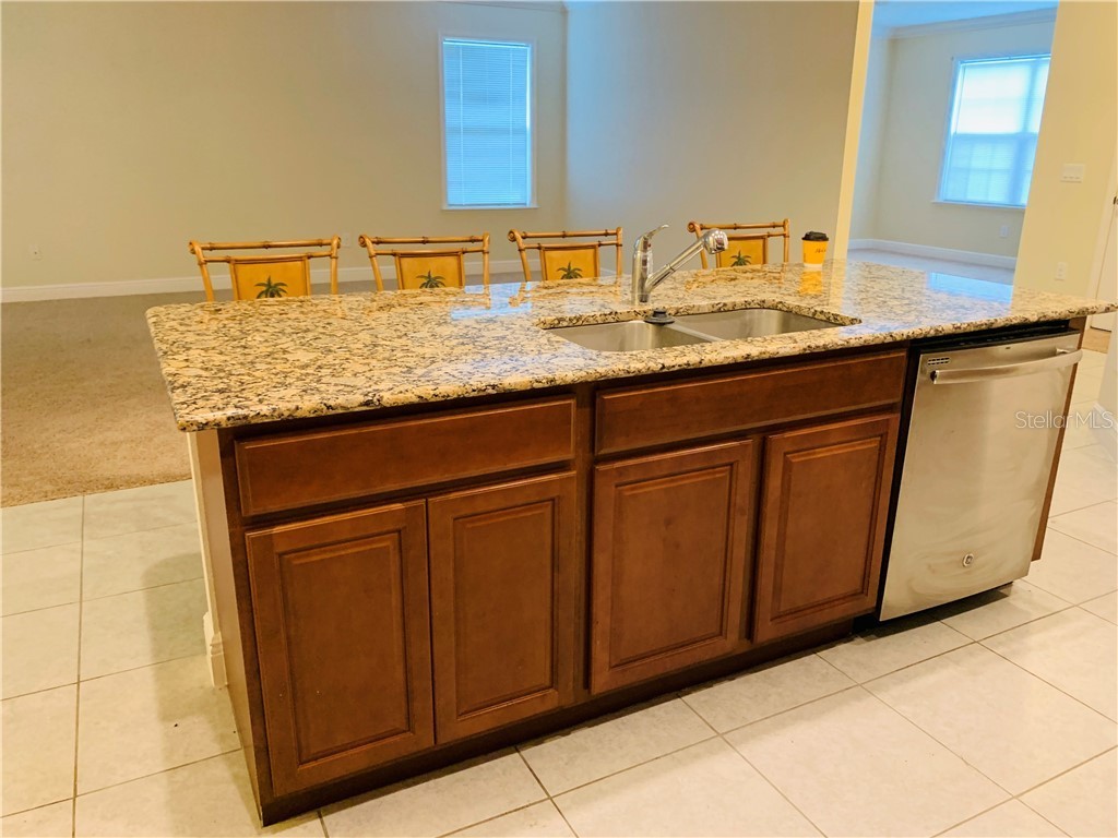 4171 Augustine Road Spring Hill FL 34609 T3203537 image3