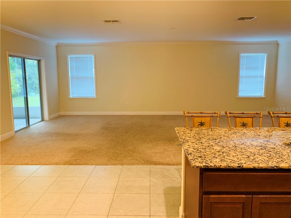 4171 Augustine Road Spring Hill FL 34609 T3203537 image4