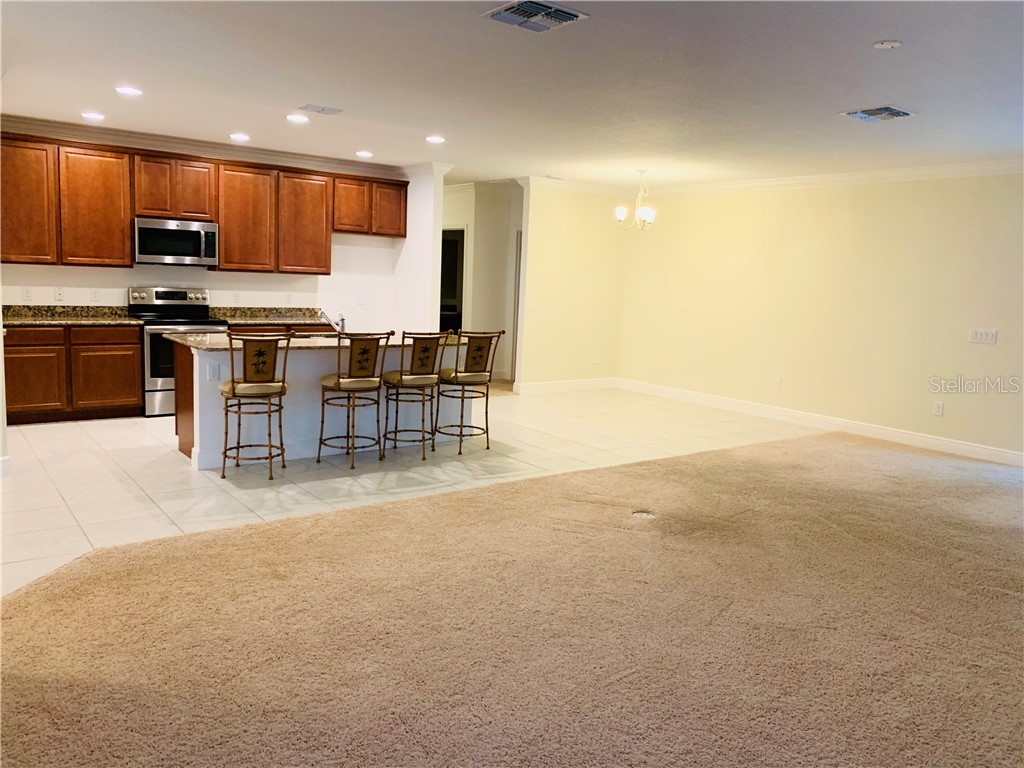 4171 Augustine Road Spring Hill FL 34609 T3203537 image5