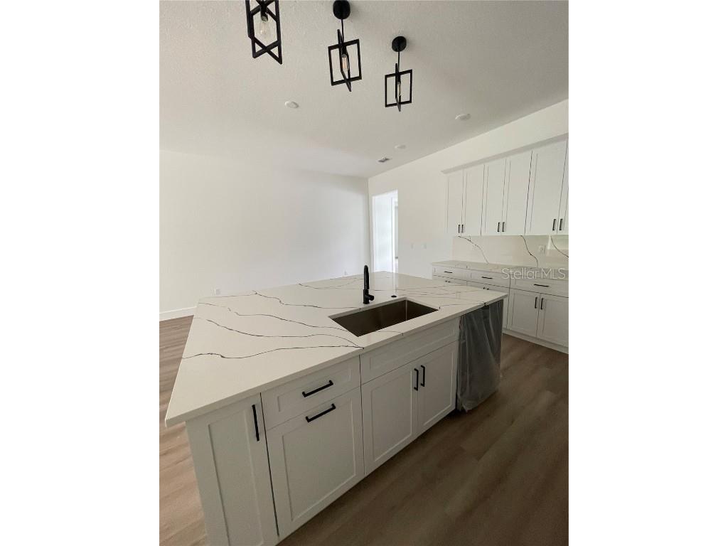 41719 Aspen Drive Eustis FL 32736 O6356216 image17