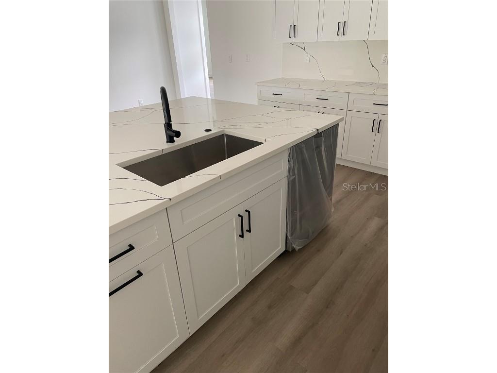 41719 Aspen Drive Eustis FL 32736 O6356216 image18