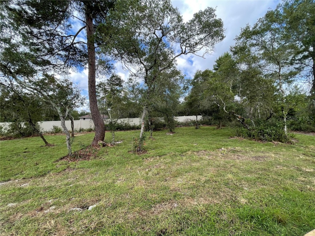 41719 Aspen Drive Eustis FL 32736 O6356216 image28