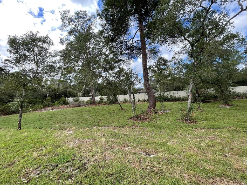 41719 Aspen Drive Eustis FL 32736 O6356216 image29