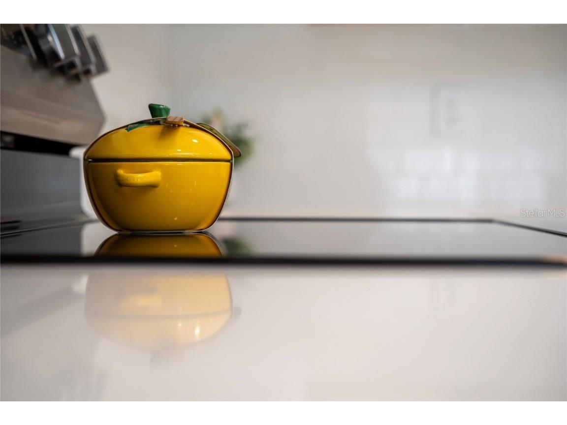 4172 Campsite Loop Orlando FL 32824 O6357666 image11