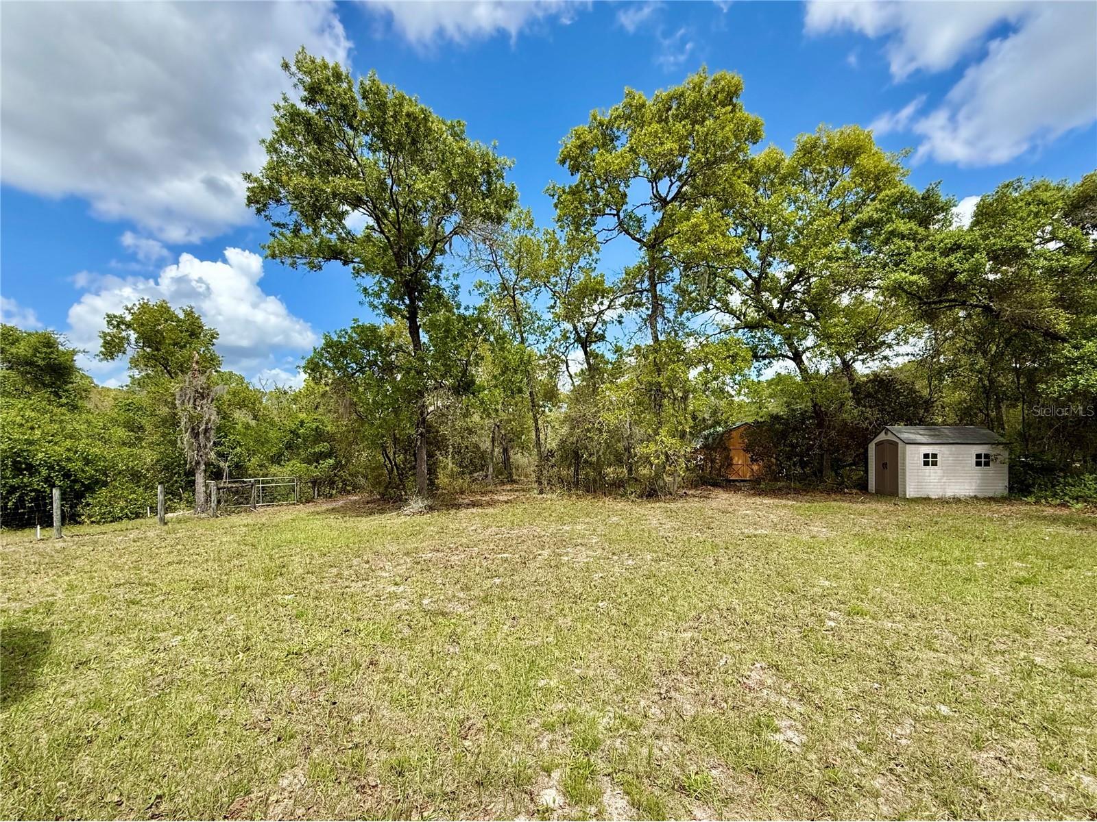 41722 Poinciana Street Eustis FL 32736 - LAKE NORRIS G5110569 image30