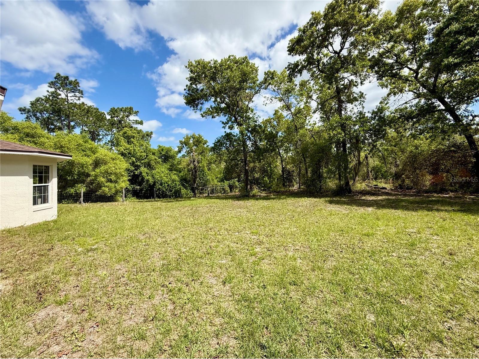 41722 Poinciana Street Eustis FL 32736 - LAKE NORRIS G5110569 image31