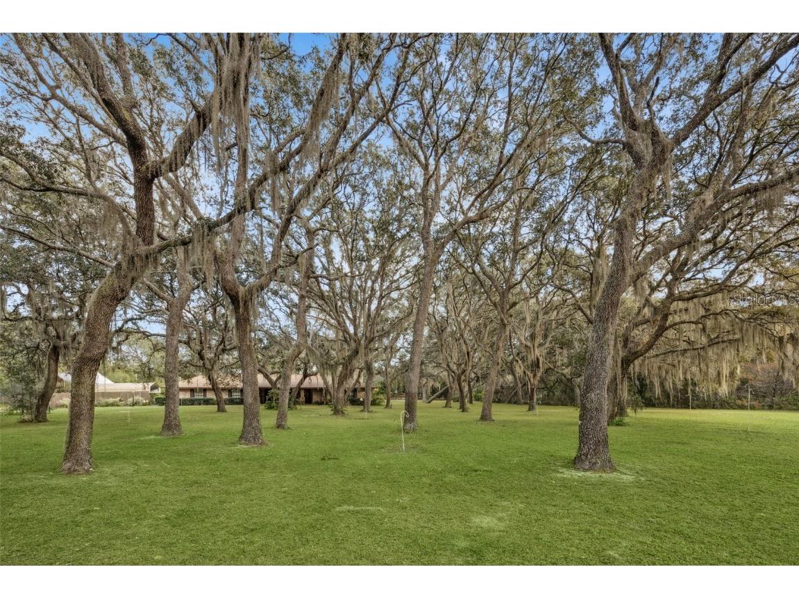 4173 Marsh Road Deland FL 32724 V4945763 image7