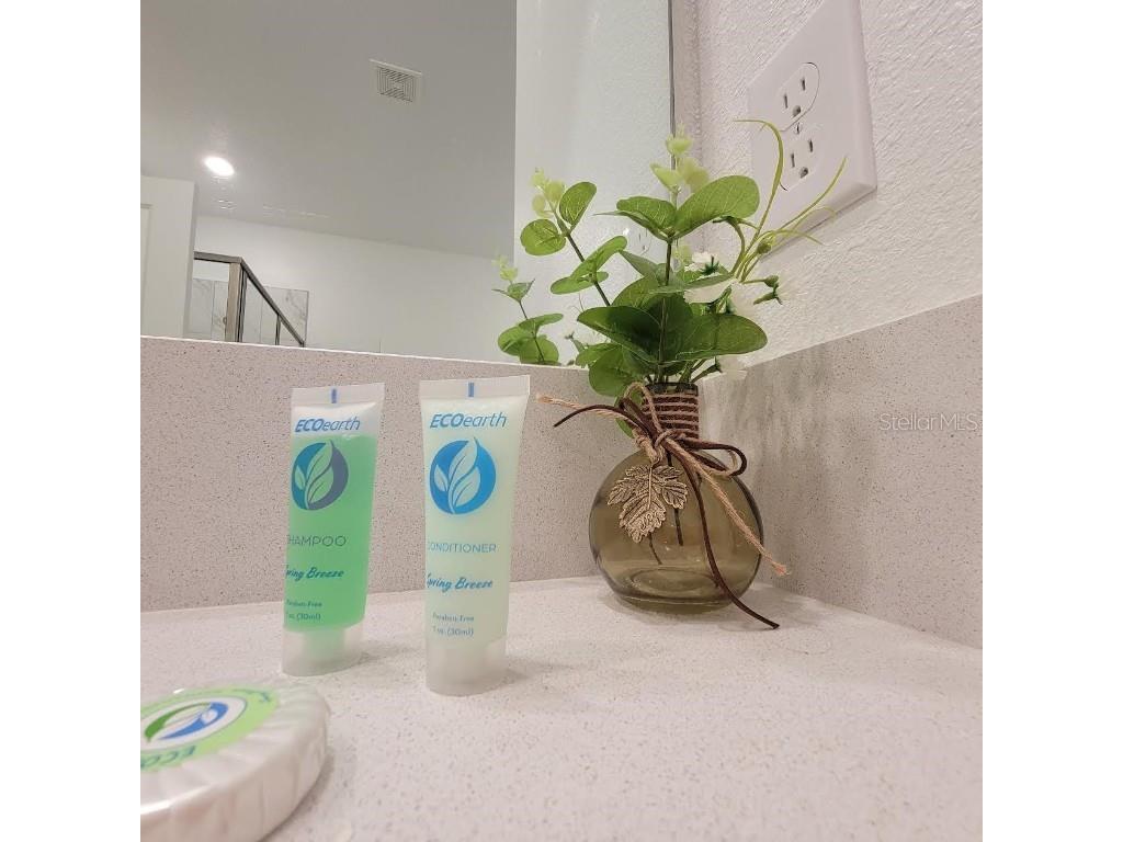 4173 Paragraph Drive Kissimmee FL 34746 O6357177 image31